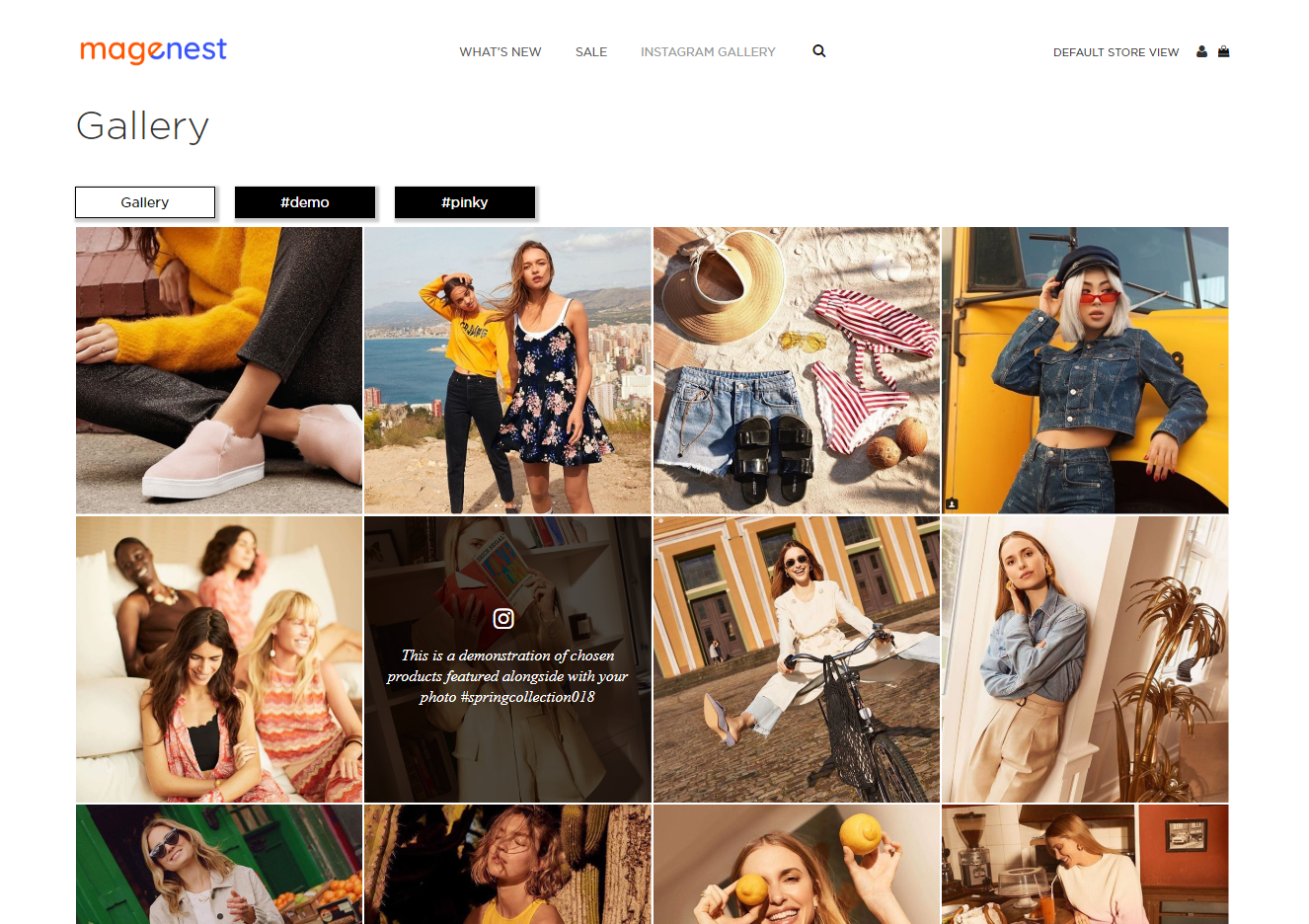 Documentation > 3. Instagram Integration (Plus) User Guide > Gallery-layout1.png