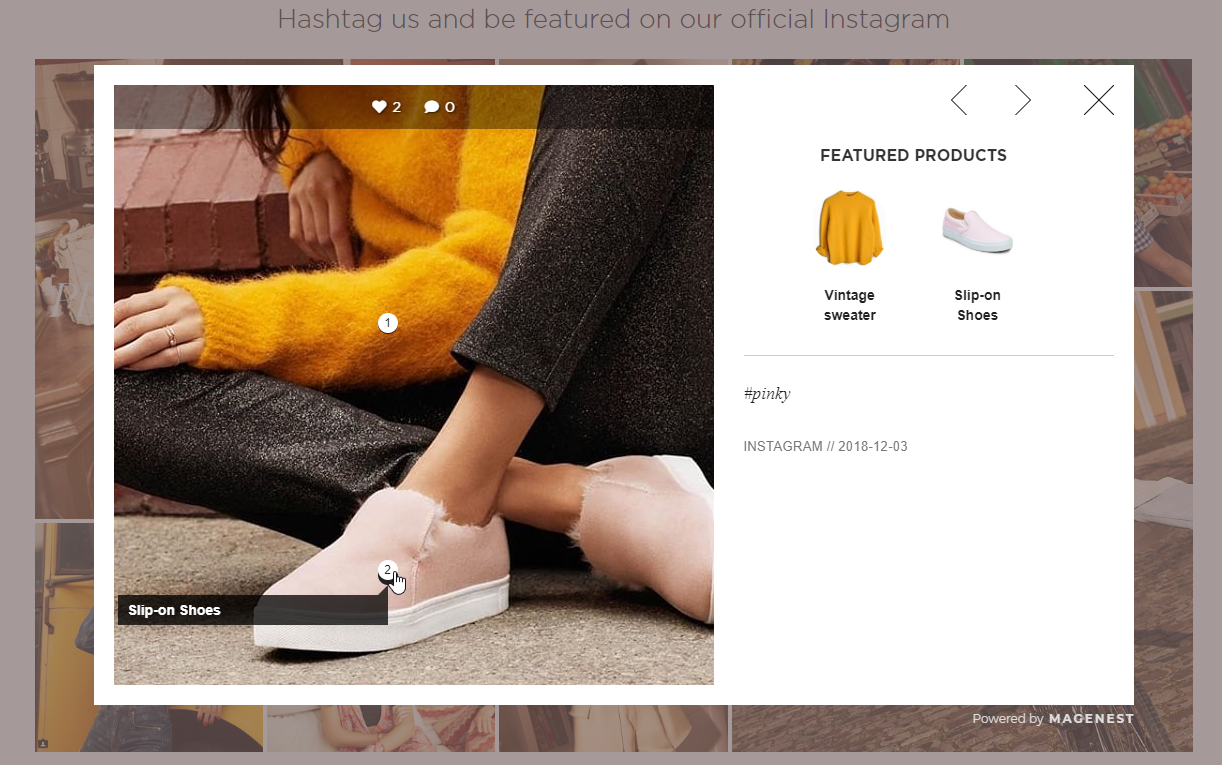 Documentation > 3. Instagram Integration (Plus) User Guide > Pop up.png