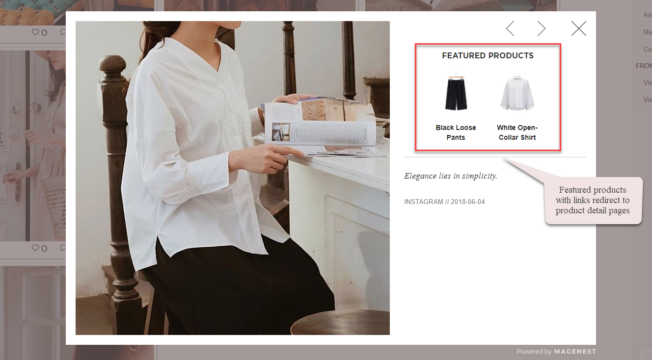 Documentation > 2. Instagram Shop Integration User Guide (Standard) > 09-product.png
